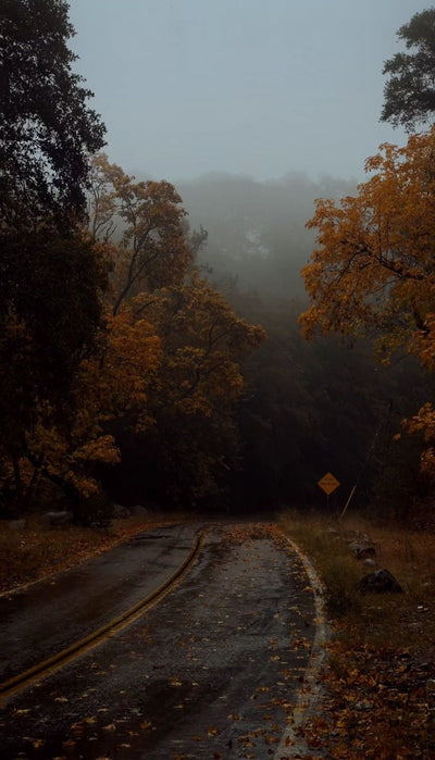 Le froid s’est installé… Et maintenant ?